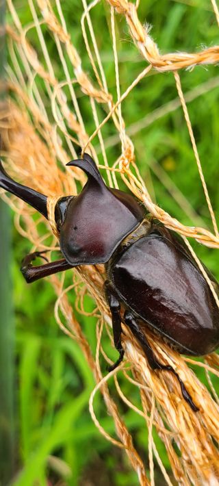 (천지산)님의 자유주제 · 자유게시판 작성글 사진