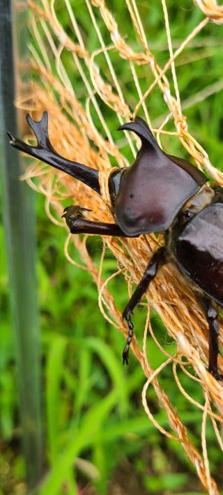 (천지산)님의 자유주제 · 자유게시판 작성글 사진