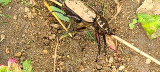 (천지산)님의 자유주제 · 자유게시판 작성글 사진