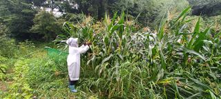 보령 게으른농부님의 자유주제 · 자유게시판 작성글 사진