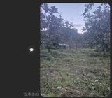 팜모닝 감·영농일지 게시글 이미지