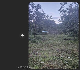 해근님의 감 · 영농일지 작성글 사진