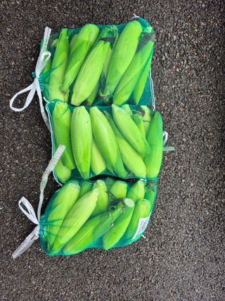 조영자님의 작성글 사진