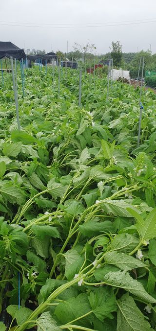 김익중님의 자유주제 · 자유게시판 작성글 사진