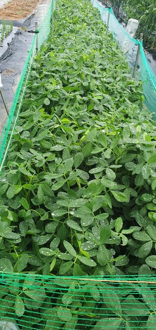 김익중님의 자유주제 · 자유게시판 작성글 사진