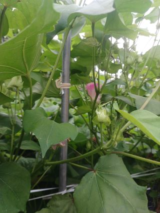 알 수 없음님의 자유주제 · 사진전 작성글 사진