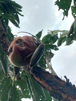 알 수 없음님의 자유주제 · 자유게시판 작성글 사진