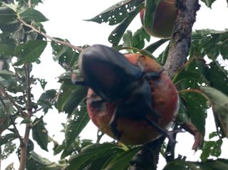 알 수 없음님의 자유주제 · 자유게시판 작성글 사진