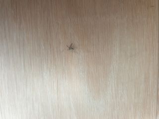 이종록님의 자유주제 · 자유게시판 작성글 사진