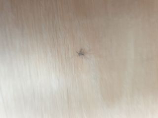 이종록님의 자유주제 · 자유게시판 작성글 사진