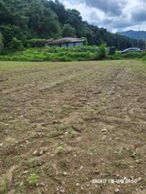 팜모닝 들깨·영농일지 게시글 이미지