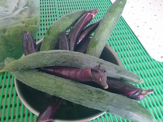 알 수 없음님의 자유주제 · 자유게시판 작성글 사진