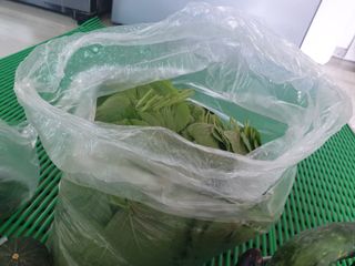 알 수 없음님의 자유주제 · 자유게시판 작성글 사진