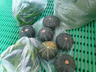 알 수 없음님의 자유주제 · 자유게시판 작성글 사진