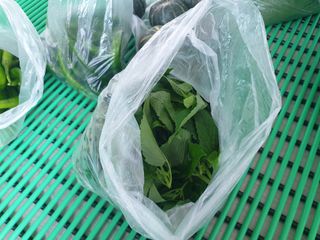 알 수 없음님의 자유주제 · 자유게시판 작성글 사진