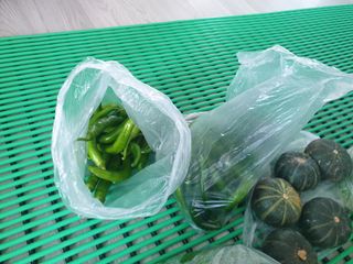 알 수 없음님의 자유주제 · 자유게시판 작성글 사진