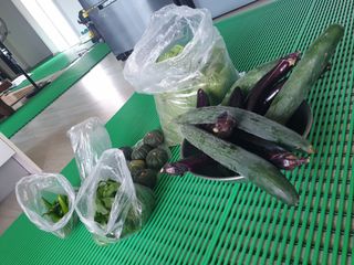 알 수 없음님의 자유주제 · 자유게시판 작성글 사진