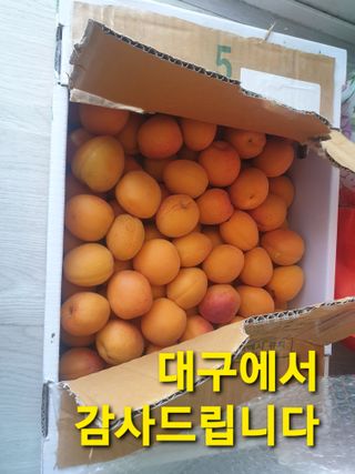 알 수 없음님의 자유주제 · 자유게시판 작성글 사진