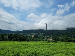 천지현황님의 기타작물 · 영농일지 작성글 사진
