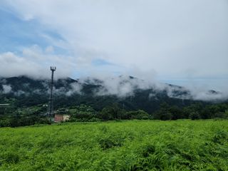 천지현황님의 기타작물 · 영농일지 작성글 사진