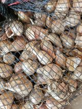 팜모닝 · 게시글 이미지