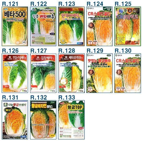 장터 상품 [25년김장배추씨앗 모음 ] 썸네일