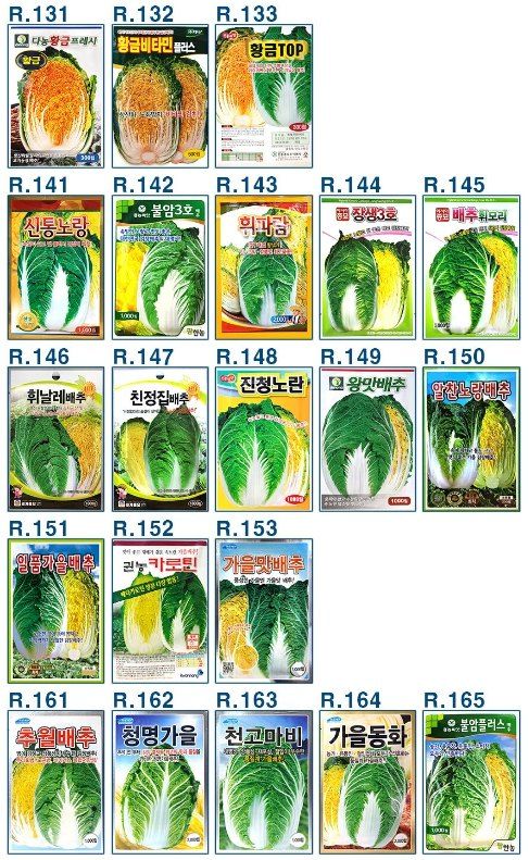 안산제일농약사님의 장터 판매 상품 [25년김장배추씨앗 모음 ] 첨부 사진