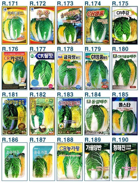 안산제일농약사님의 장터 판매 상품 [25년김장배추씨앗 모음 ] 첨부 사진