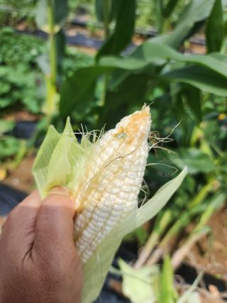 눈꽃처럼님의 자유주제 · 자유게시판 작성글 사진