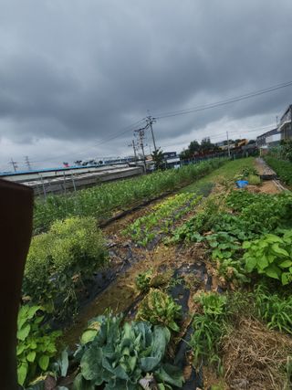 눈꽃처럼님의 자유주제 · 자유게시판 작성글 사진