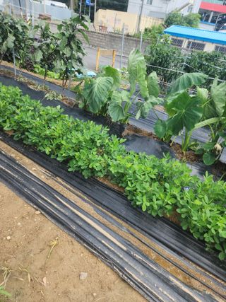 눈꽃처럼님의 자유주제 · 자유게시판 작성글 사진