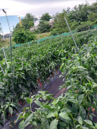 해안로님의 자유주제 · 자유게시판 작성글 사진