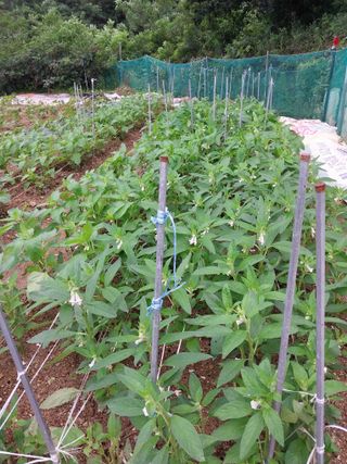 해안로님의 자유주제 · 자유게시판 작성글 사진