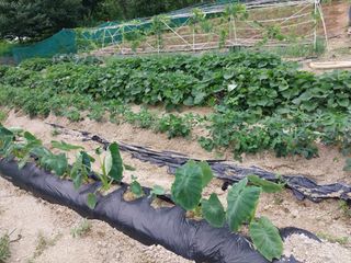 해안로님의 자유주제 · 자유게시판 작성글 사진