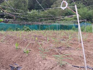 해안로님의 자유주제 · 자유게시판 작성글 사진