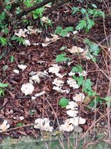 팜모닝 자유주제·자유게시판 게시글 이미지