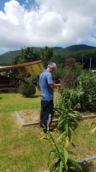 고비고개님의 양배추 · 자유게시판 작성글 사진