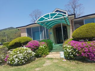 고비고개님의 양배추 · 자유게시판 작성글 사진