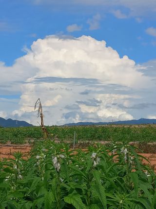 박린님의 자유주제 · 자유게시판 작성글 사진