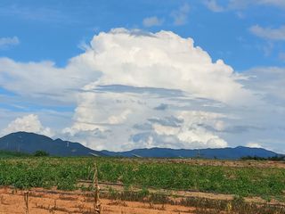 박린님의 자유주제 · 자유게시판 작성글 사진