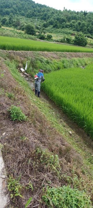 김감자님의 자유주제 · 자유게시판 작성글 사진