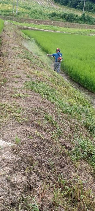 김감자님의 자유주제 · 자유게시판 작성글 사진