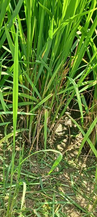 김감자님의 자유주제 · 자유게시판 작성글 사진