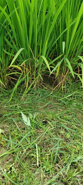 김감자님의 자유주제 · 자유게시판 작성글 사진