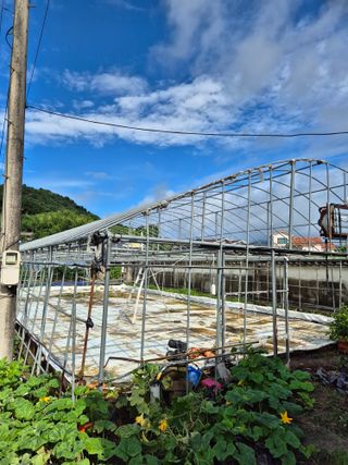 인호님의 참깨 · 영농일지 작성글 사진