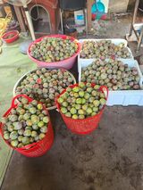 산새님의 작성글 사진