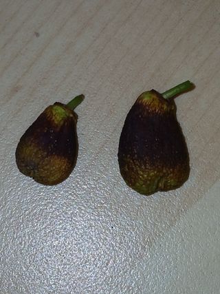 김관식님의 자유주제 · 자유게시판 작성글 사진