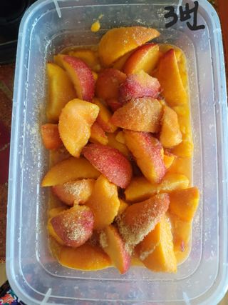 다둥이네농장님의 자유주제 · 자유게시판 작성글 사진