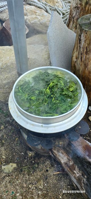 황둔얼렁뚱땅체리농부님의 기타작물 · 자유게시판 작성글 사진