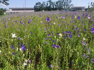 사랑은꿈님의 기타작물 · 영농일지 작성글 사진